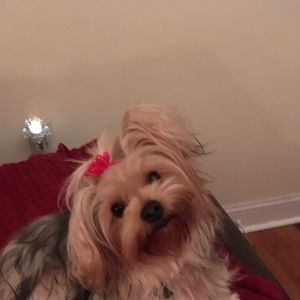 Meet your Posher, Lori